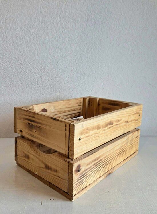 KOKA KASTĪTES