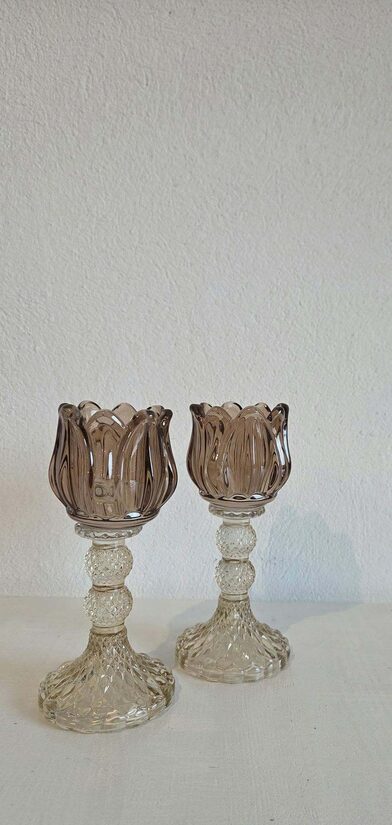 STIKLA TULPES